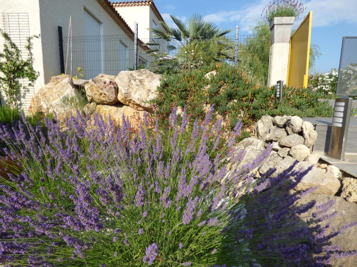 La Villa Du Saule Salles-d'Aude Екстер'єр фото